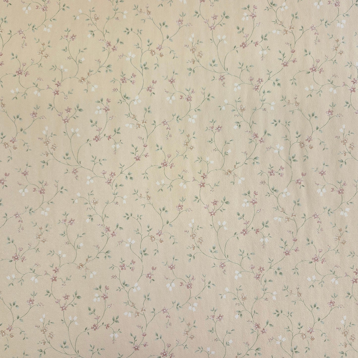 Delicate Pink Flowers on Ecru Background - Wallpaper