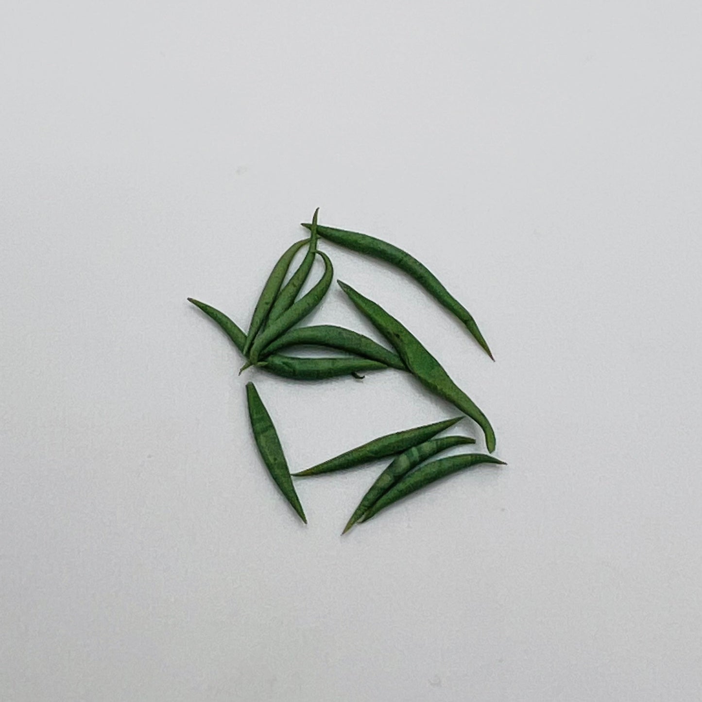 Green Beans - 1/12 Scale Dollhouse Miniature