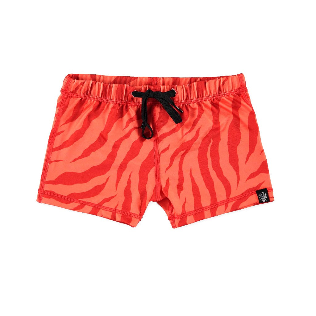 Beach & Bandits Swim Shorts