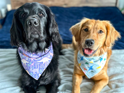 "Solid Color" Dog Bandana