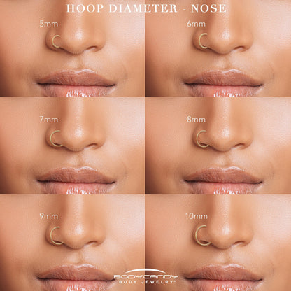 18G Double Row Micro Gem Implant Grade Titanium Hinged Double Hoop Nose Ring