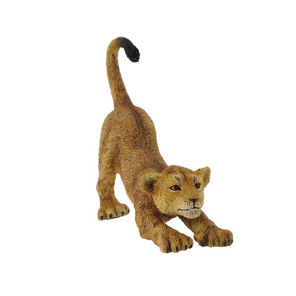Lion Cub Stretching