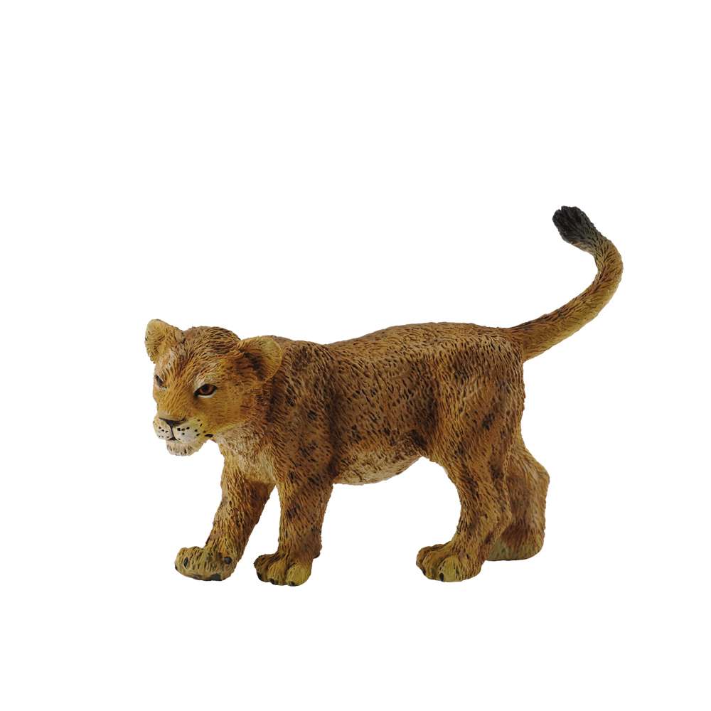Lion Cub Walking