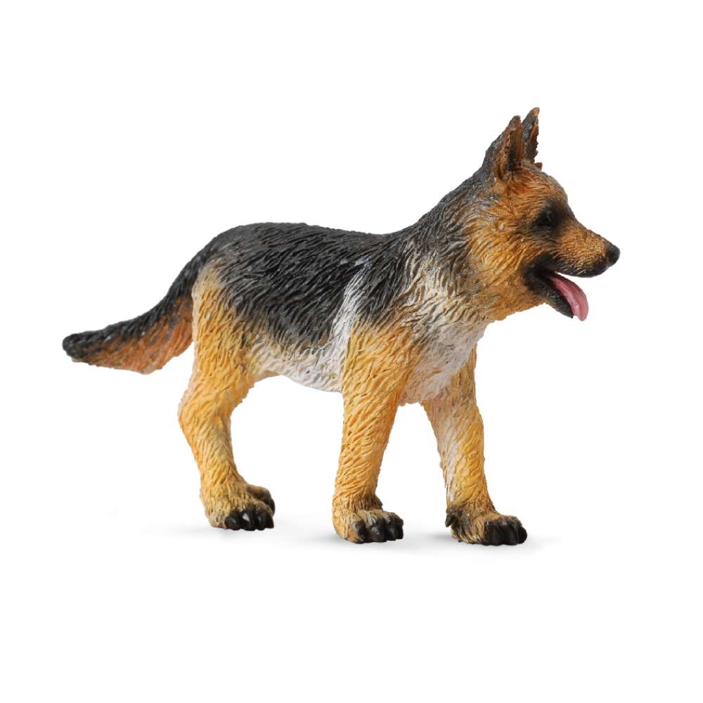 German Shepherd Puppy